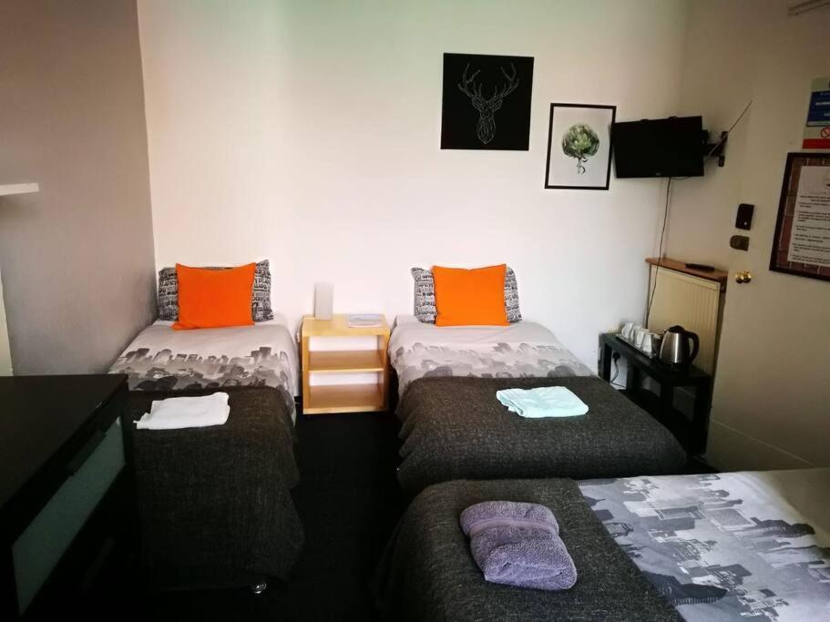 The Kingsview Townhouse - Boutique Hostel Edinburg Exteriör bild